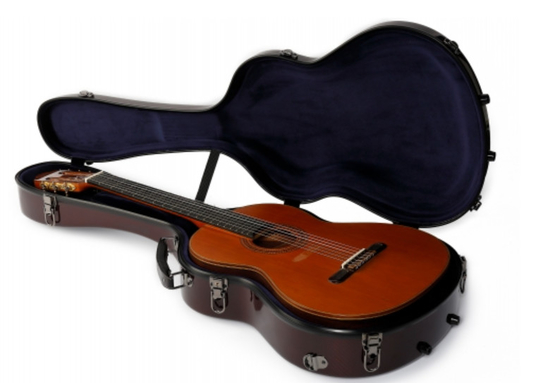 Seyahat Sert Saplı Hava Karbon Akustik Gitar Hard Case